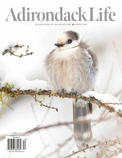 Adirondack Life - November-December 2025