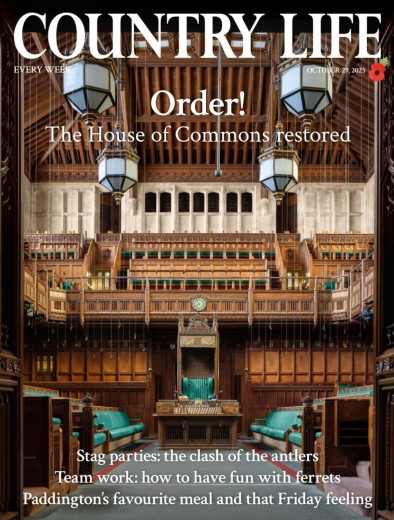 Country Life UK - October 29, 2025