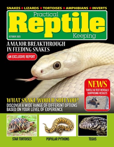 Practical Reptile Keeping - October 2025