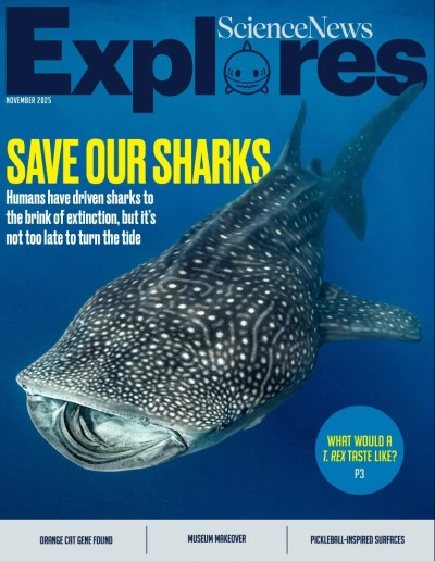 Science News Explores - November 2025