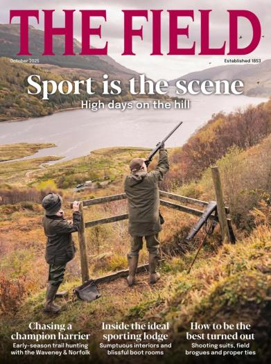 The Field - October 2025