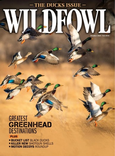Wildfowl - October 2025